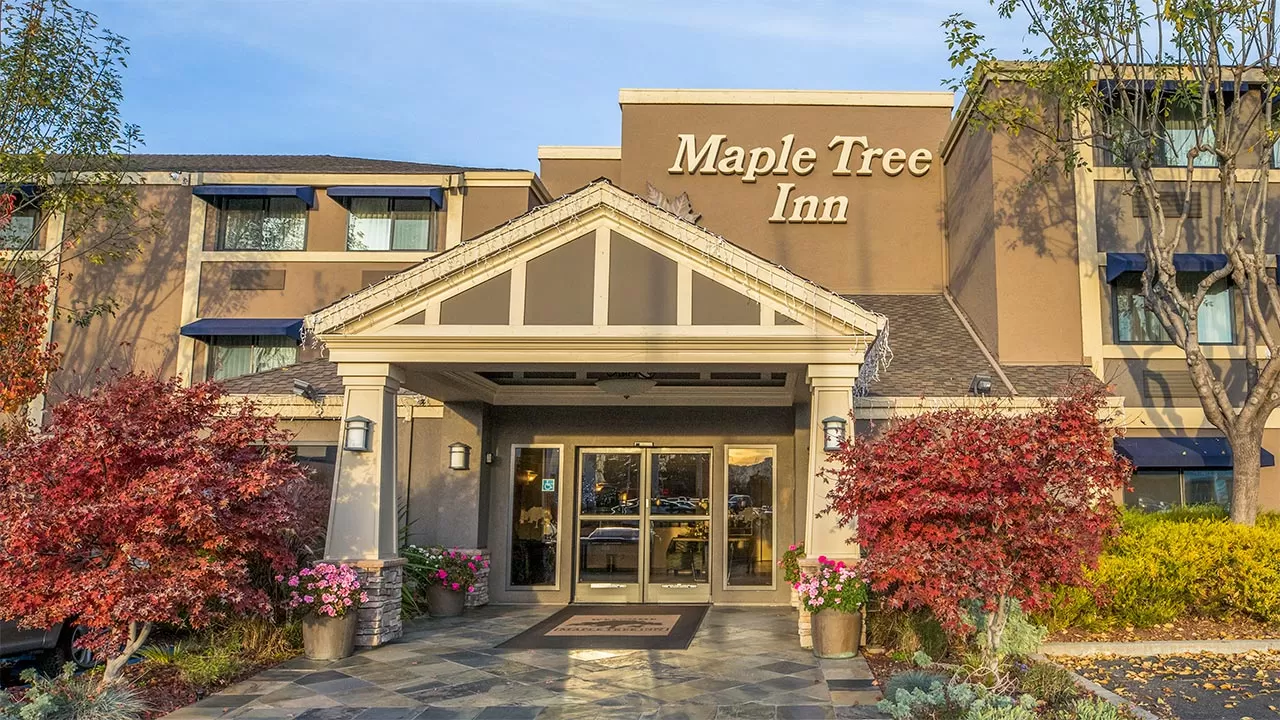 Maple Tree Inn