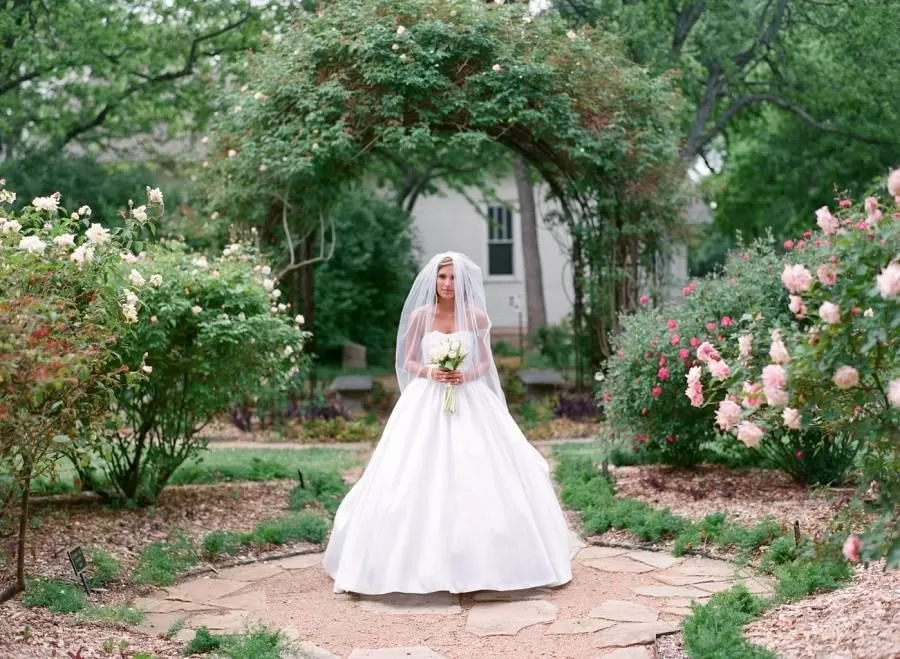 Wedding in the Branch